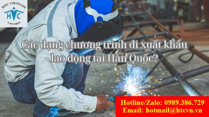 Các dạng chương trình đi xuất khẩu lao động tại Hàn Quốc?